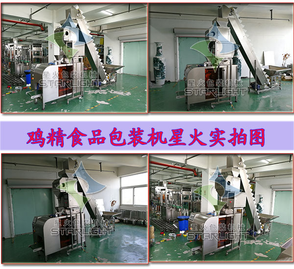 全自動雞精食品包裝機