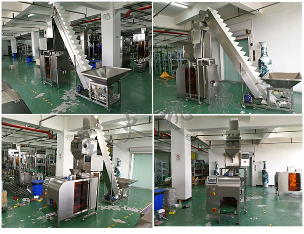 自動化杏仁袋裝包裝生產線-全自動袋裝杏仁包裝機設備